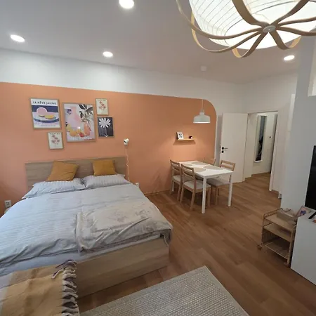 V Centru Olomouce Lägenhet